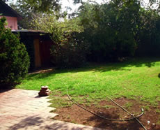 Arriendo Consultas