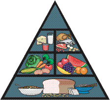Pirámide alimenticia